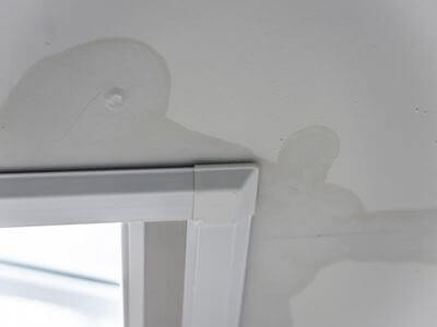About Hidden Valley Lake Black Mold Removal - black mold removal experts in Hidden Valley Lake