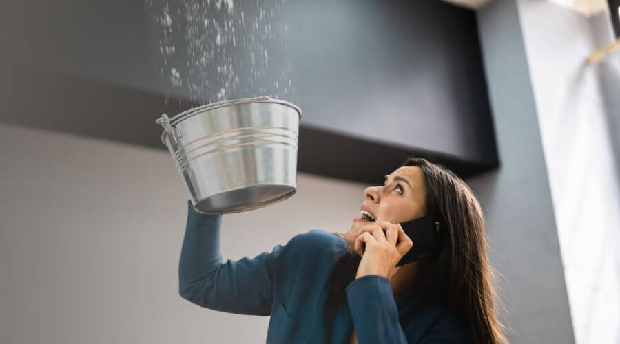 Why choose Hidden Valley Lake Black Mold Removal for black mold removal in Hidden Valley Lake